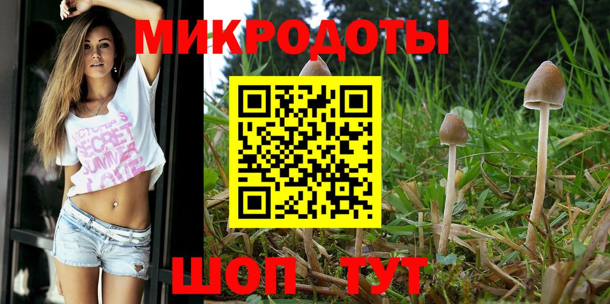 Псилоцибиновые грибы мухоморы Муравленко